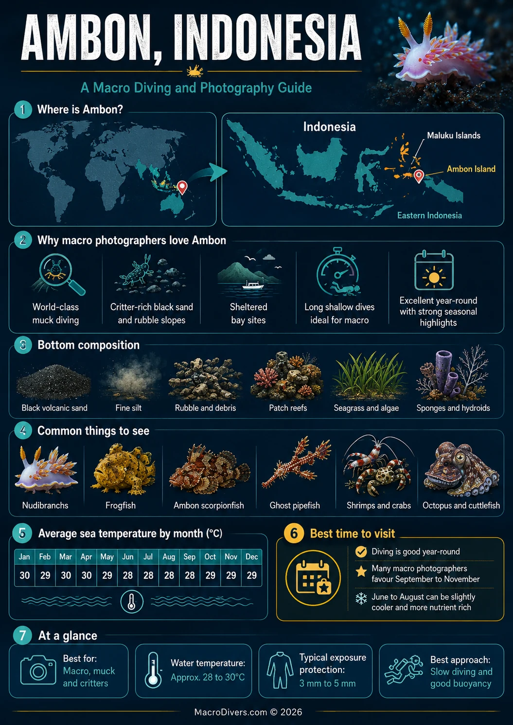 Ambon Indonesia macro diving and underwater photography guide infographic