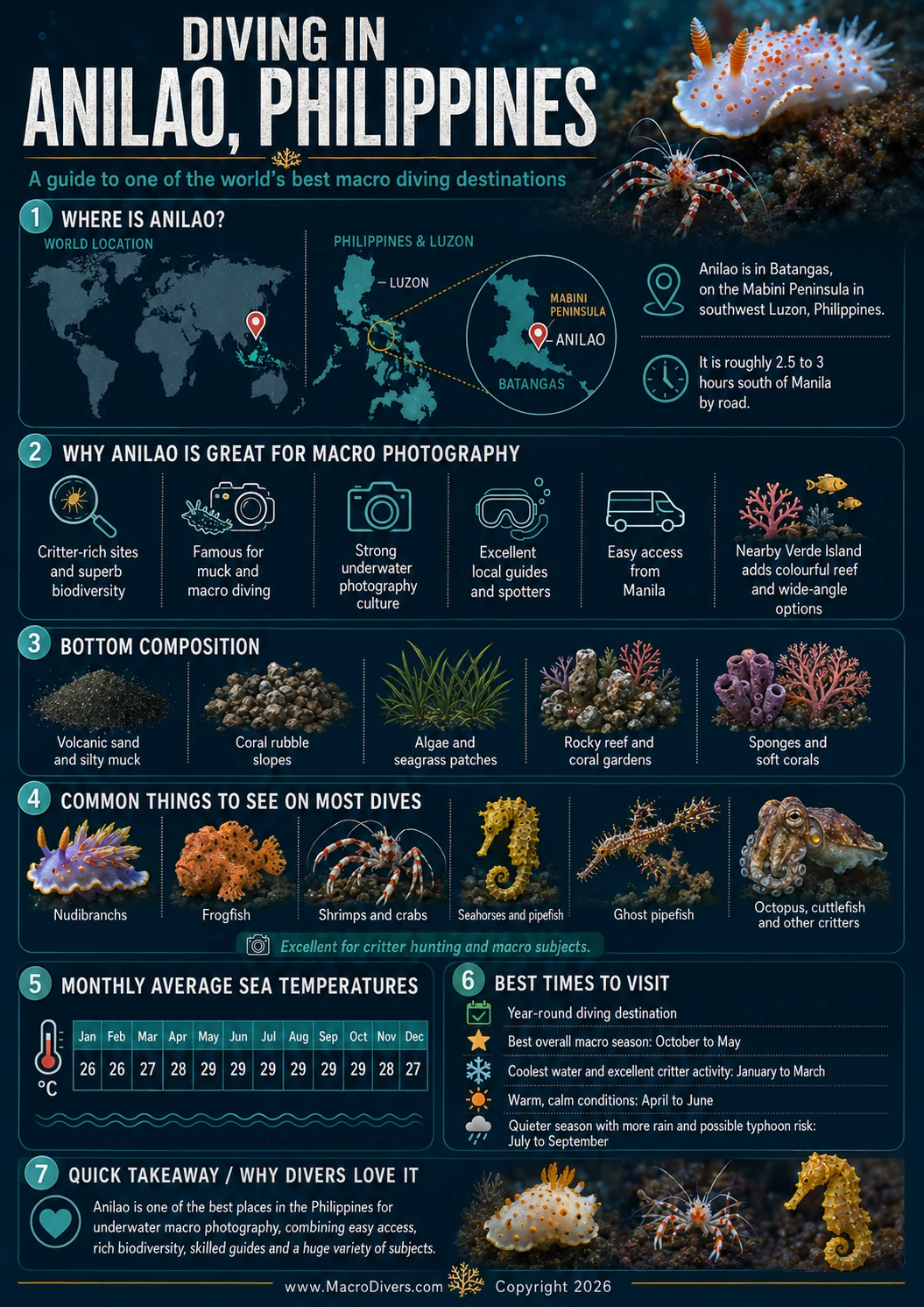 Anilao Philippines diving and underwater photography guide infographic