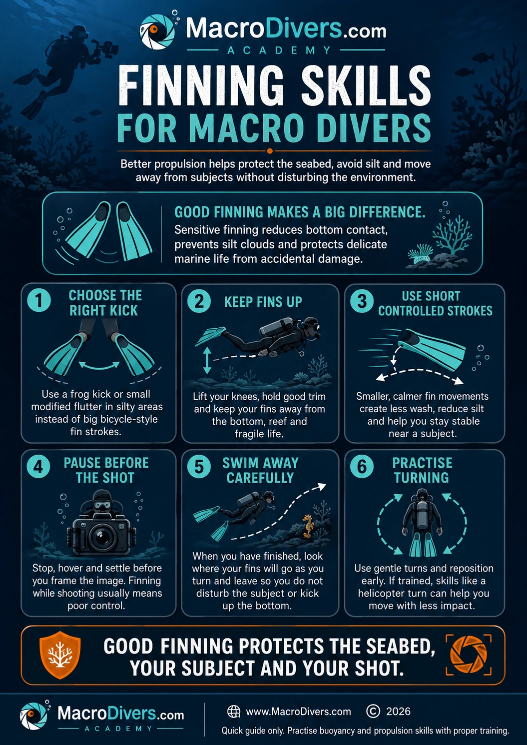 MacroDivers finning skills infographic for macro divers, showing frog kick, fin position, short controlled strokes, pausing before the shot, swimming away carefully and practising turns to protect the seabed.