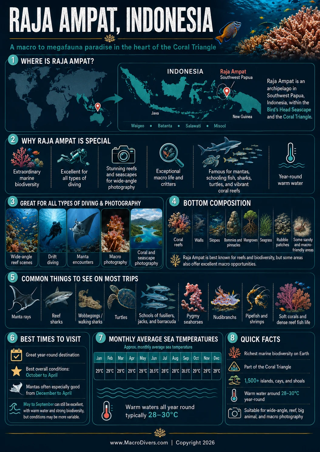 Raja Ampat Indonesia diving and underwater photography guide infographic