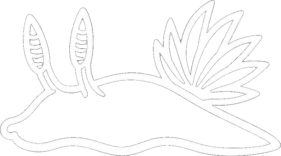 MacroDivers nudibranch logo